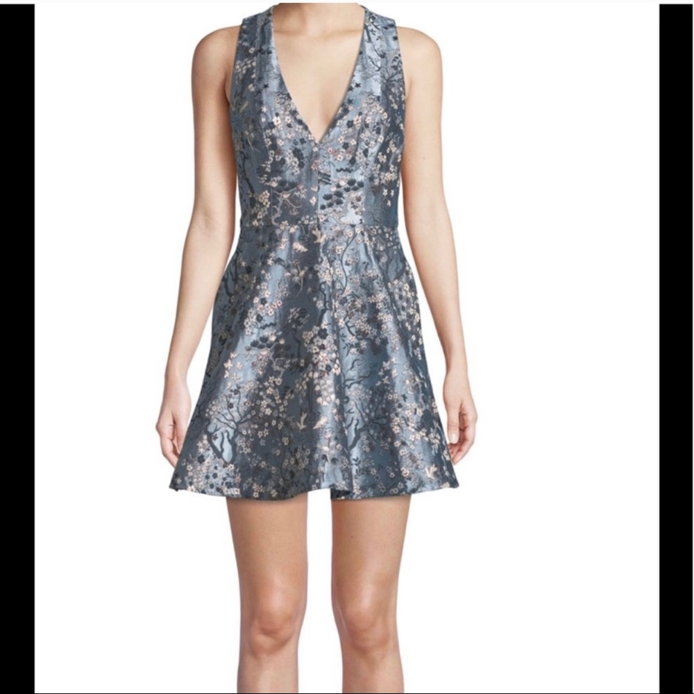 Alice + Olivia “Tennie” Floral Embroidered Dress